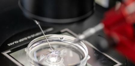 Los tratamientos en las clínicas de reproducción han aumentado en un 40% los últimos 5 años&nbsp;