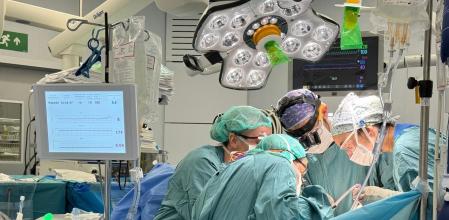 Quince profesionales participaron en la intervención, que duró diez horas