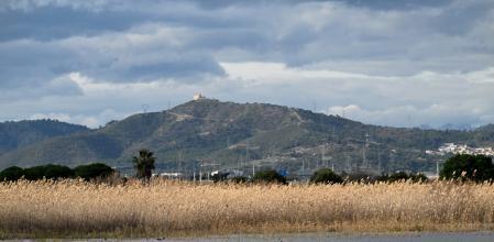Elpidio Solís ha retratado el descanso de los flamencos en el Remolar-Filipines. Disfrutan tranquilos del estanque y las marismas del espacio natural del delta del