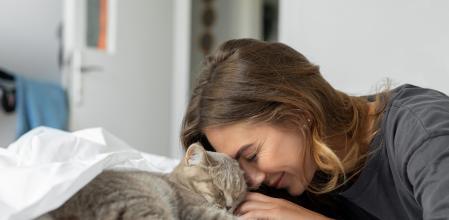 Hay que respetar la independencia del gato sin forzar el contacto físico.