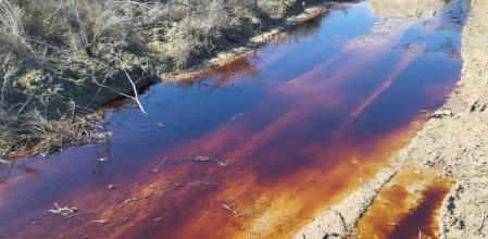 Así de sucia llega el agua desde Valdemingómez hacia el río Manzanares.