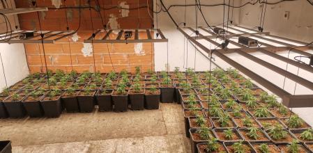 Plantación de marihuana de Figueres