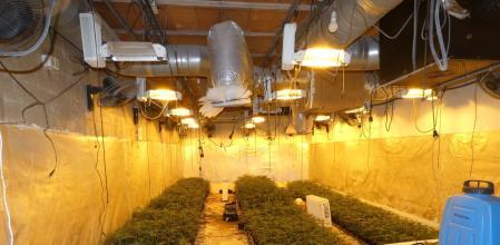 El búnker con la plantación de marihuana construida en el jardín .