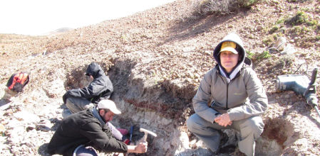 Yacimiento donde se encontró una nueva especie de flor en Patagonia, Argentina, la Patagoflora minima