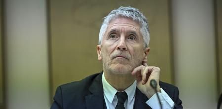 El ministro del Interior, Fernando Grande-Marlaska, en su comparecencia este miércoles en el Congreso de los Diputados, donde abrió la posibilidad de reformar la ley para que el caso de Caparrós tenga un encaje legal.