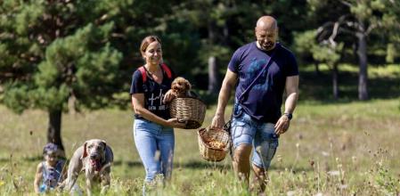 Pasar tiempo en parques, bosques o playas genera una cascada de cambios cerebrales que dan bienestar