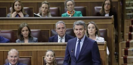 FAlberto Núñez Feijóo (d), interviene durante la sesión de control al Gobierno, este miércoles, en el Congreso de los Diputados. EFE/Zipi