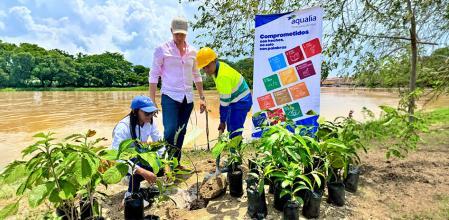 Plantación de árboles en el departamento de Córdoba, en Colombia