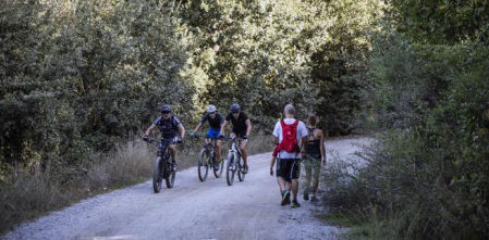 La Generalitat reabre el acceso a Collserola para actividades de ocio y deportivas