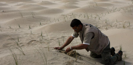 Es más barato prevenir y restaurar que curar