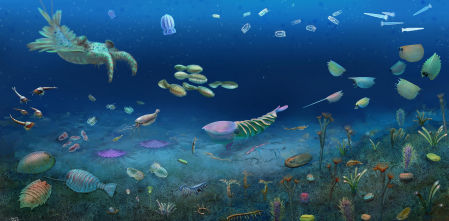 Un yacimiento en China revela cómo la vida se recuperó tras la primera extinción de animales complejos