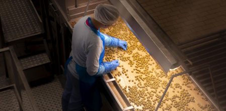 De aperitivo típico a industria local con arraigo: las aceitunas de Serpis cumplen 100 años