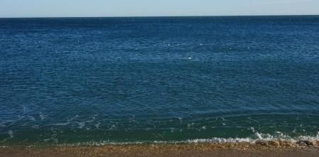 Reto visual: ¿Cuántas gaviotas y boyas eres capaz de ver en el mar en menos de 30 segundos?