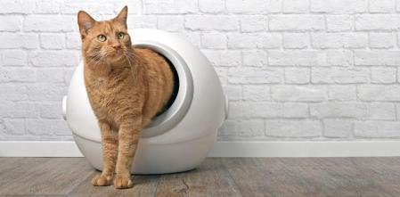 Comparativa de los mejores areneros inteligentes y autolimpiables para gatos 2026: 5 modelos con app para olvidarte de la pala