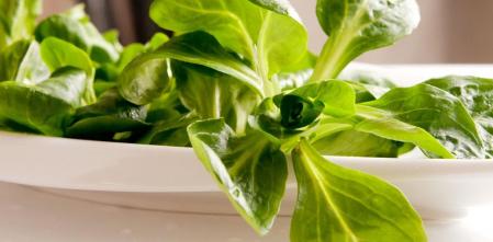 Canónigos: valor nutricional, beneficios y propiedades