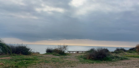 Reto visual: ¿Cuántos gorriones eres capaz de ver en menos de 30 segundos?