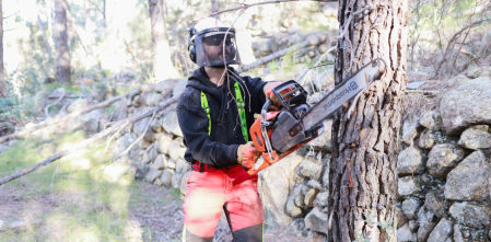 En busca de rentabilidad para prevenir incendios