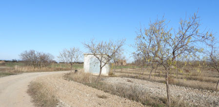 Reto visual: ¿Eres capaz de ver al colirrojo tizón en menos de 30 segundos?
