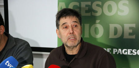 Unió de Pagesos cifra en 153 millones las pérdidas por la peste para el porcino en España y en 63 en Catalunya