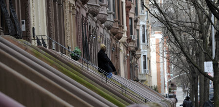 Ciervos en busca de esperanza