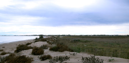 Deltebre recrimina al Estado que insista en hacer un deslinde que “amenaza” al municipio y al Delta