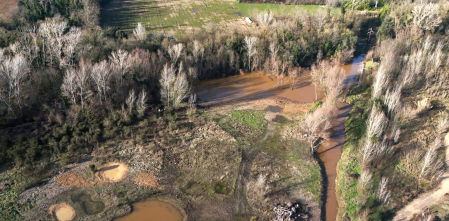 Restauran zonas húmedas junto al Ter en Girona para favorecer la reproducción de anfibios y pájaros