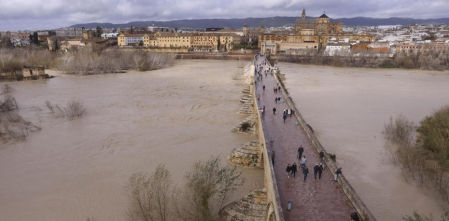 Córdoba, nuevo epicentro del temporal: el Guadalquivir duplica el umbral rojo y fuerza más de 700 desalojos
