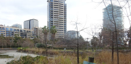 Reto visual: ¿Eres capaz de ver la oca en menos de 30 segundos?