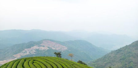 Así son las soluciones que reducen el gasto energético y permiten un futuro conectado