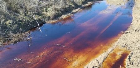 Ecologistas denuncian vertidos de aguas residuales desde Valdemingómez hacia el río Manzanares