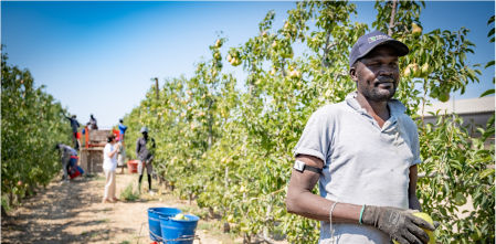 Un comité de expertos propone desplegar la Agència de Migracions aprobada hace 16 años