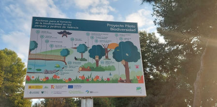 Vox minimiza el valenciano en sus áreas de gobierno del Ayuntamiento de València