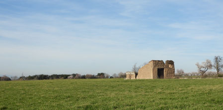 Reto visual: ¿Puedes encontrar al aguilucho en menos de 30 segundos?