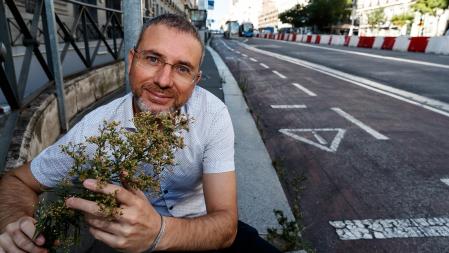 Eduardo Barba acaricia una hierba urbana, que crece en un espacio conquistado al asfalto en la calle madrileña de Alcalá