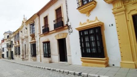 Casas-palacio en la calle de San Pedro de Osuna