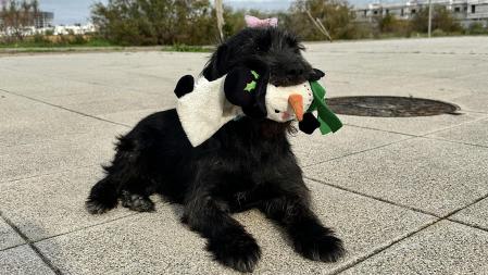 Luna, la perrita de Inma Campano