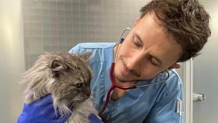 Lluís Benítez, veterinario oncólogo