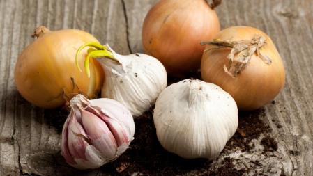 Cebollas y ajos
