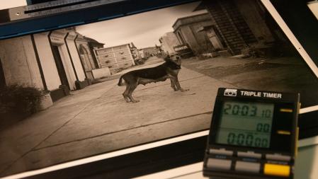 Fotografía positivada en un laboratorio fotográfico químico.