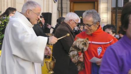 Bendición el día de San Antoni en Alcoy.