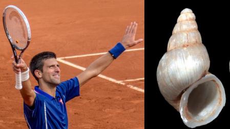 Novak Djokovic y un ejemplar de la especie ' Travunijana djokovici' .