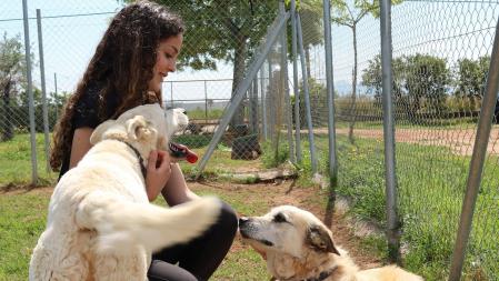 Una voluntaria acaricia a los perros en las instalaciones de la protectora valenciana Modepran.