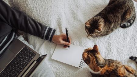 Hand of a left-handed person making a drawing or writing in a notebook while lying in bed with a laptop on his lap. Two cats nearby. Top view. Designer freelancer or work from home concept
