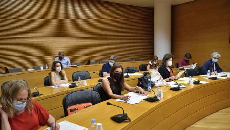 La comisión especial de estudio sobre los usos del tiempo celebrada este martes.