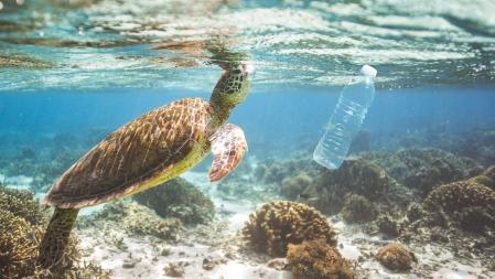 La mala gestión de los residuos de plásticos provoca la acumulación en mares y oceános  .