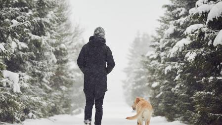 Se tiene que evitar que los animales anden por encima de pavimentos helados