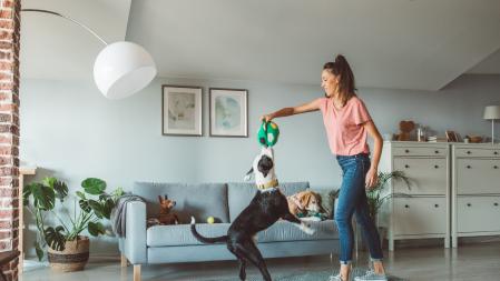 Perro jugando en casa con su dueña