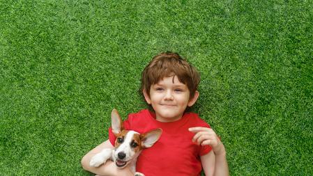 Un niño abraza a su perro