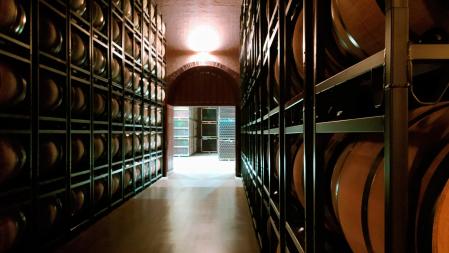 Bodegas y viñedos Monteabellón