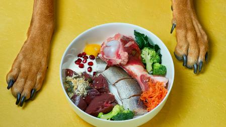 Alimentación saludable para perros